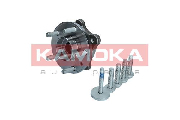KAMOKA 5500376 Wheel Bearing Kit