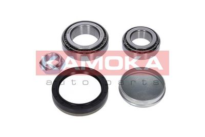 Wheel Bearing Kit KAMOKA 5600004