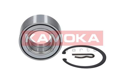 Wheel Bearing Kit KAMOKA 5600038