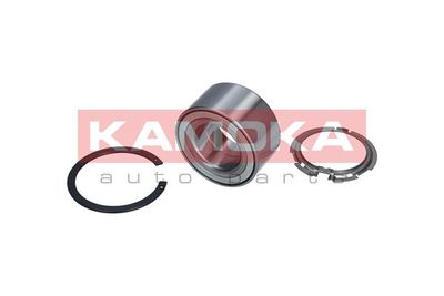 Wheel Bearing Kit KAMOKA 5600053