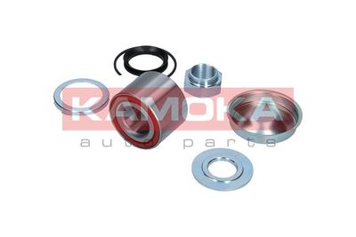 Wheel Bearing Kit KAMOKA 5600070