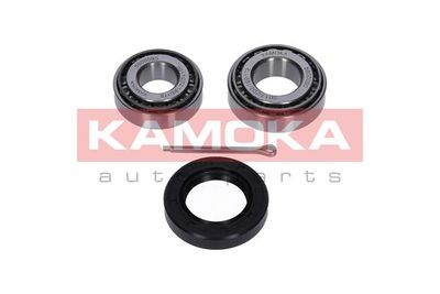 Wheel Bearing Kit KAMOKA 5600090