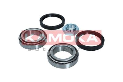 Wheel Bearing Kit KAMOKA 5600123