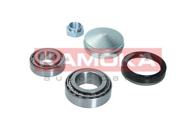 Wheel Bearing Kit KAMOKA 5600124