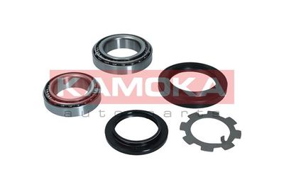 Wheel Bearing Kit KAMOKA 5600151