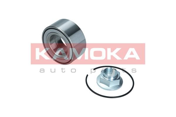 KAMOKA 5600179 Wheel Bearing Kit