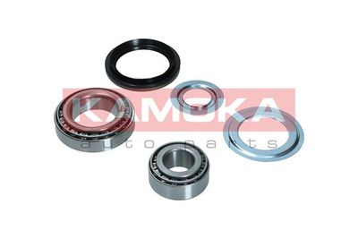 Wheel Bearing Kit KAMOKA 5600190