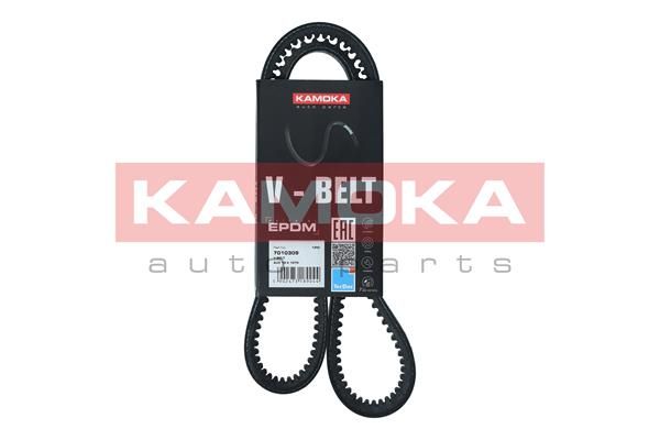 KAMOKA 7010309 V-Belt