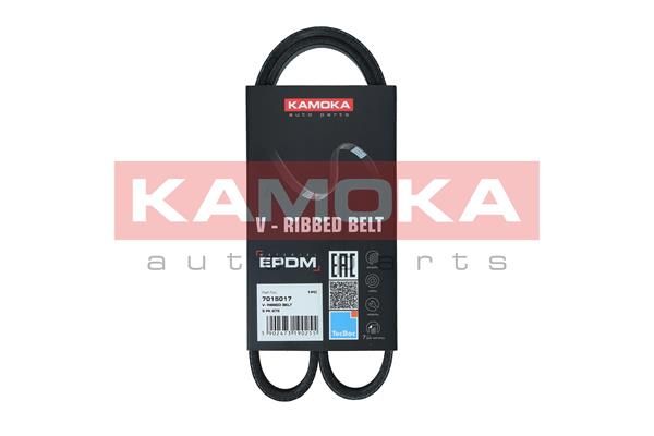 KAMOKA 7015017 V-Ribbed Belt