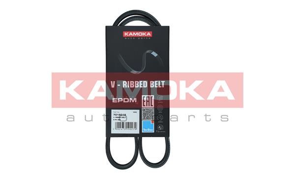 KAMOKA 7015019 V-Ribbed Belt