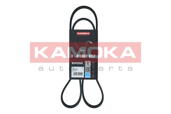 KAMOKA 7015051 V-Ribbed Belt