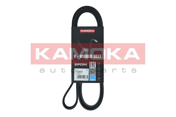 KAMOKA 7015075 V-Ribbed Belt