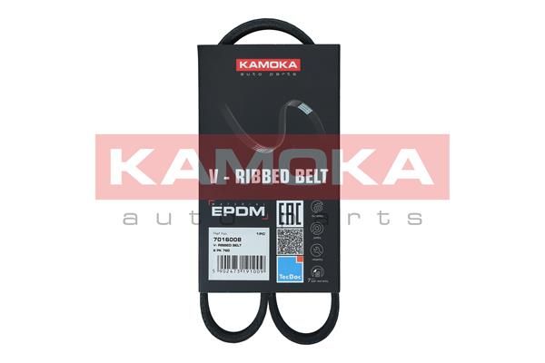 KAMOKA 7016008 V-Ribbed Belt