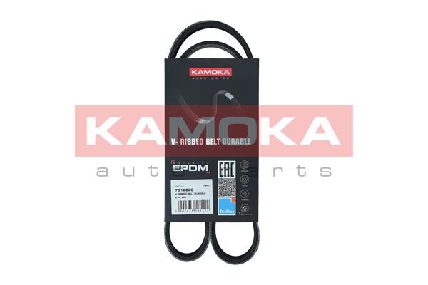 KAMOKA 7016020 V-Ribbed Belt