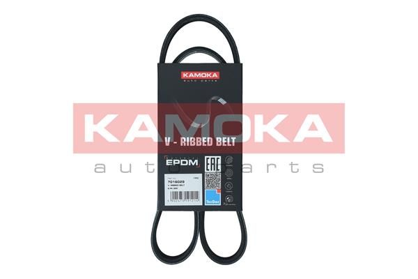 KAMOKA 7016029 V-Ribbed Belt