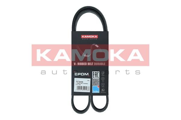 KAMOKA 7016036 V-Ribbed Belt