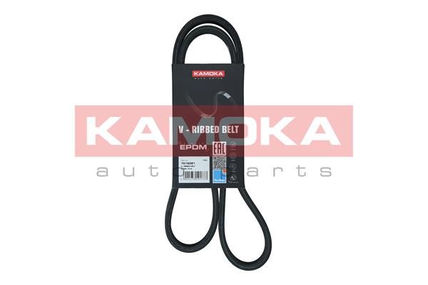 KAMOKA 7016081 V-Ribbed Belt
