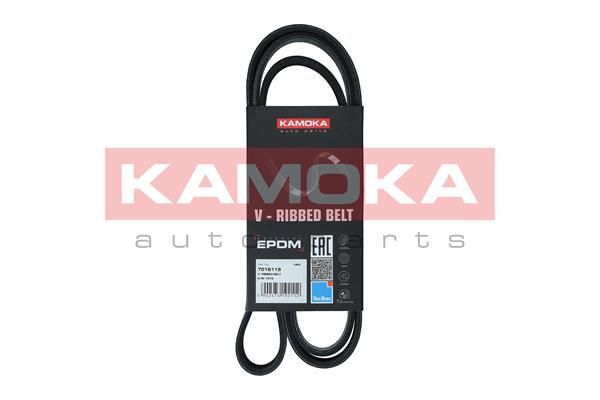 KAMOKA 7016119 V-Ribbed Belt
