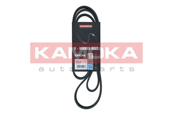 KAMOKA 7016135 V-Ribbed Belt