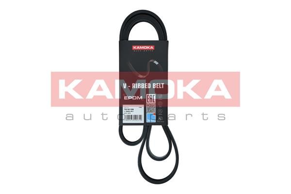 KAMOKA 7016139 V-Ribbed Belt