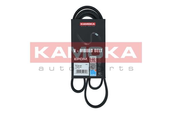 KAMOKA 7016147 V-Ribbed Belt