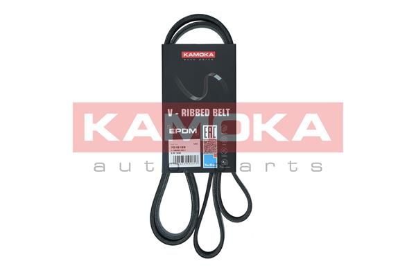 KAMOKA 7016169 V-Ribbed Belt