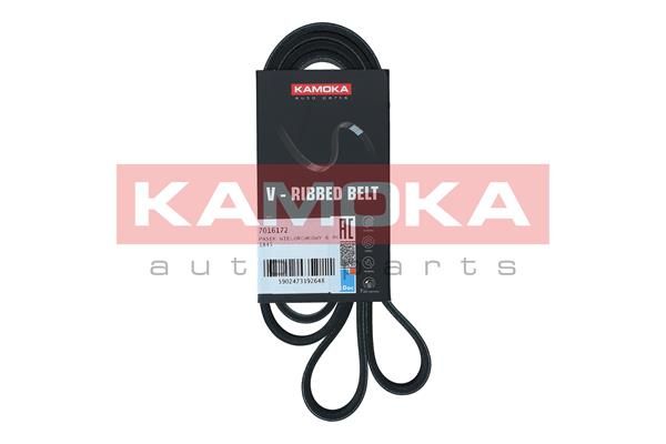 KAMOKA 7016172 V-Ribbed Belt