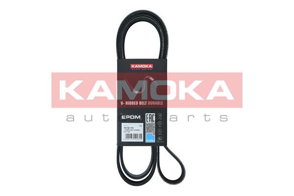 KAMOKA 7016173 V-Ribbed Belt