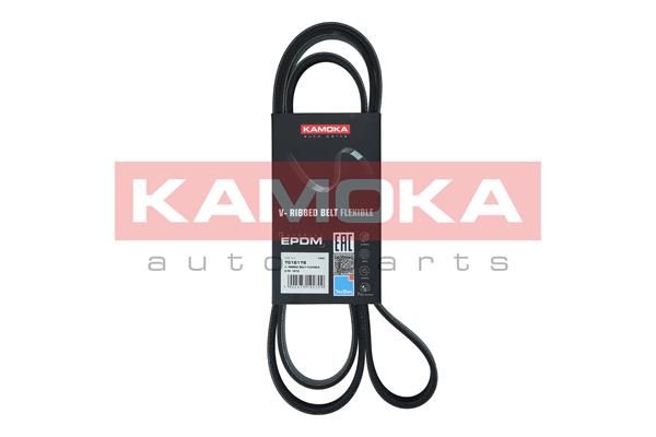 KAMOKA 7016178 V-Ribbed Belt