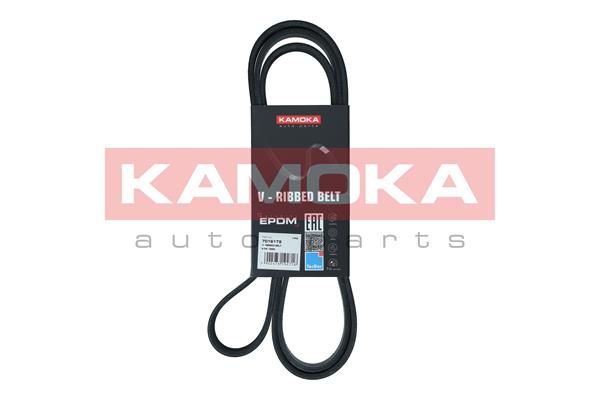 KAMOKA 7016179 V-Ribbed Belt
