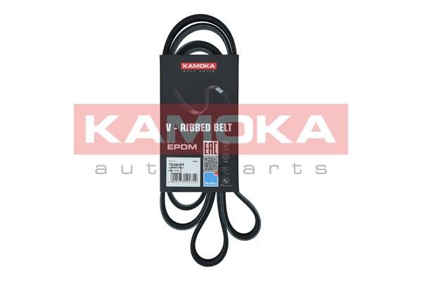 KAMOKA 7016183 V-Ribbed Belt