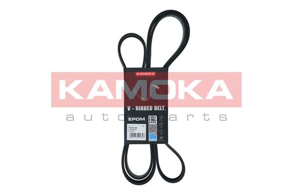 KAMOKA 7016193 V-Ribbed Belt