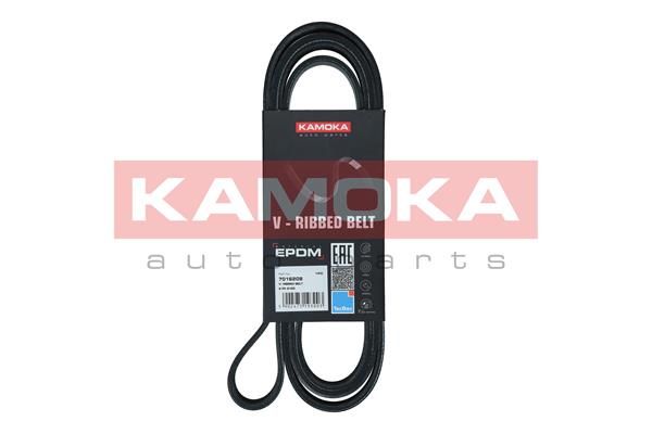 KAMOKA 7016208 V-Ribbed Belt