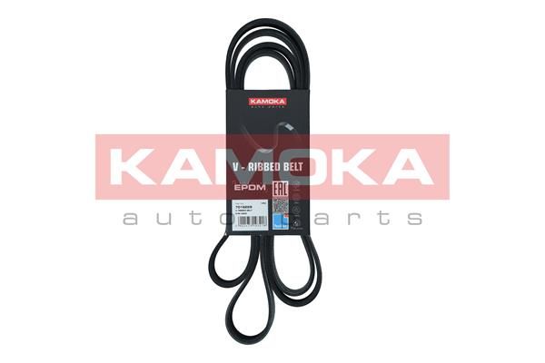 KAMOKA 7016229 V-Ribbed Belt