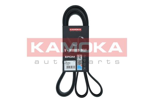 KAMOKA 7016231 V-Ribbed Belt
