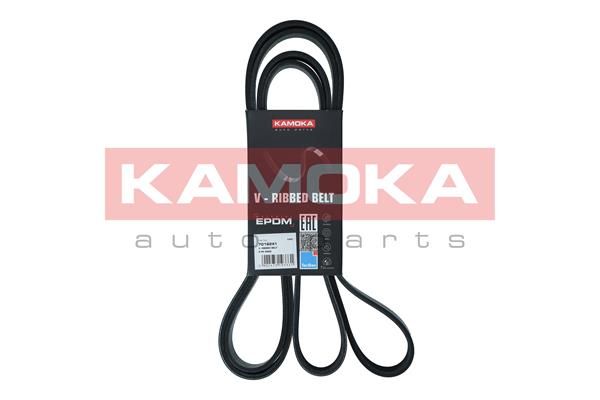 KAMOKA 7016241 V-Ribbed Belt