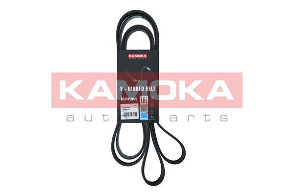 KAMOKA 7016243 V-Ribbed Belt