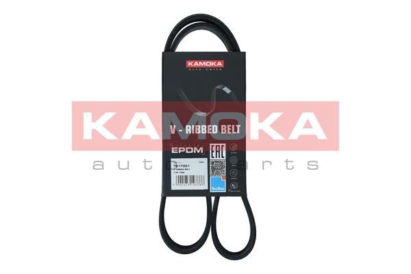 KAMOKA 7017001 V-Ribbed Belt