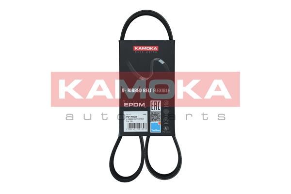 KAMOKA 7017002 V-Ribbed Belt