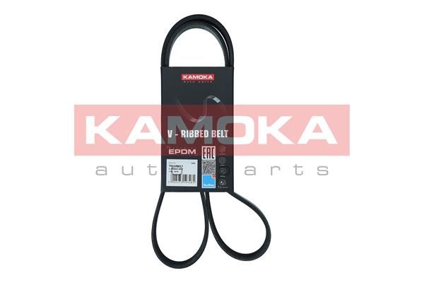 KAMOKA 7017011 V-Ribbed Belt