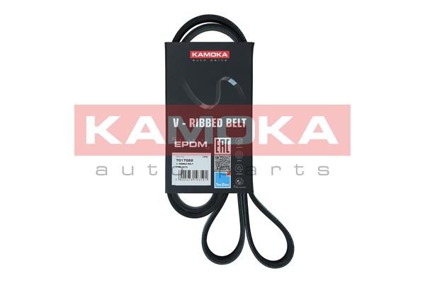 KAMOKA 7017022 V-Ribbed Belt