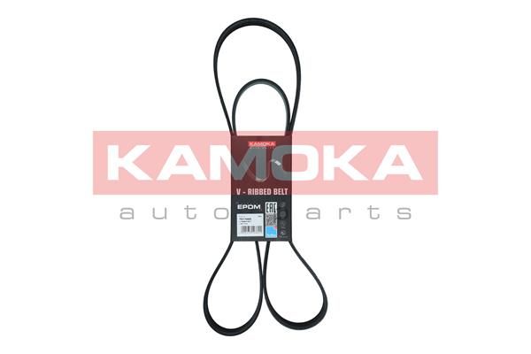 KAMOKA 7017025 V-Ribbed Belt