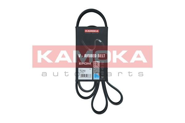 KAMOKA 7017031 V-Ribbed Belt