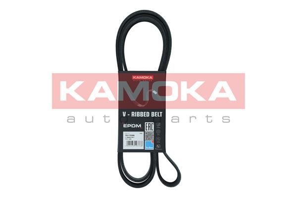 KAMOKA 7017039 V-Ribbed Belt