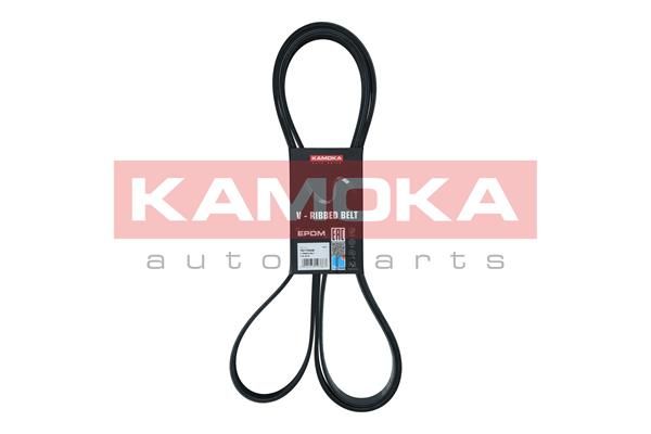 KAMOKA 7017049 V-Ribbed Belt