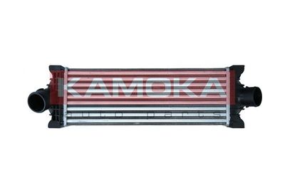 Charge Air Cooler KAMOKA 7750003