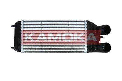 Charge Air Cooler KAMOKA 7750016