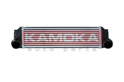 Charge Air Cooler KAMOKA 7750023