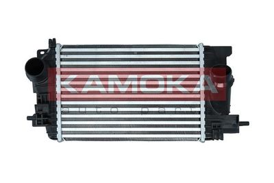 Charge Air Cooler KAMOKA 7750059