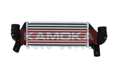 Charge Air Cooler KAMOKA 7750085